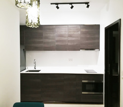 Sims Urban Oasis (D14), Condominium #159195092